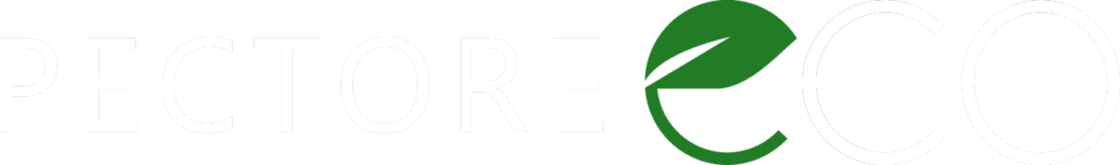 Moje Blog